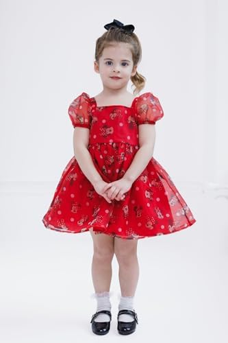 Disney Girls Square Neck Organza Dress Toddler to Big Kid Sizes