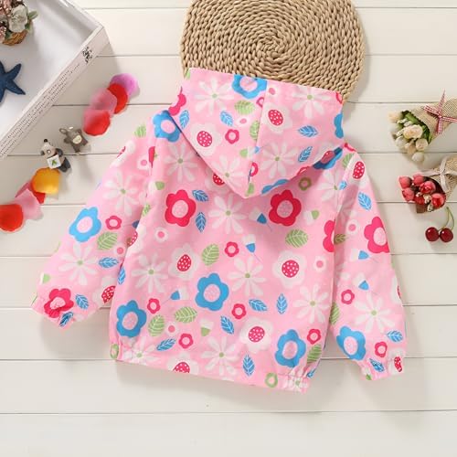 Lightweight Hooded Windbreaker for Toddler Girls