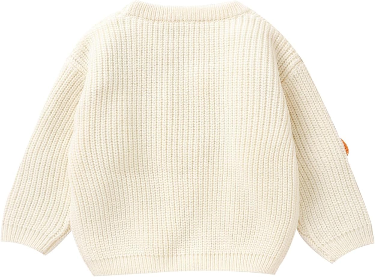 Cute Pumpkin Sweater for Kids